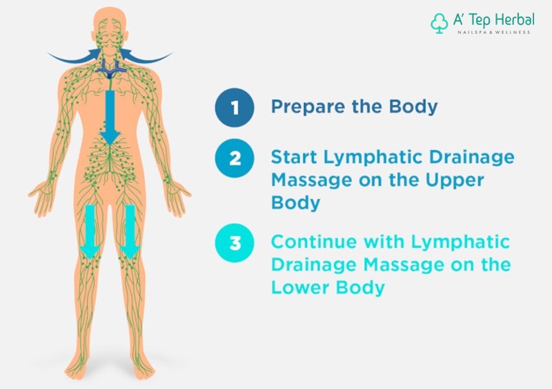Lymphatic Massage 2